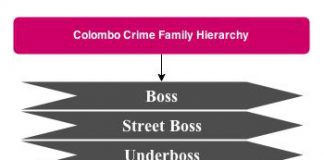 Colombo Crime Family Hierarchy Hierarchystructure Com
