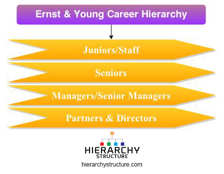 Ey Organizational Chart