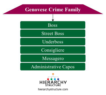 Genovese Crime Family Chart 2018