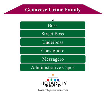 Genovese Crime Family Chart 2015