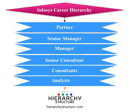 Infosys Org Chart