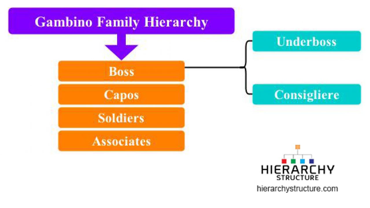 Gambino Family Chart 2018