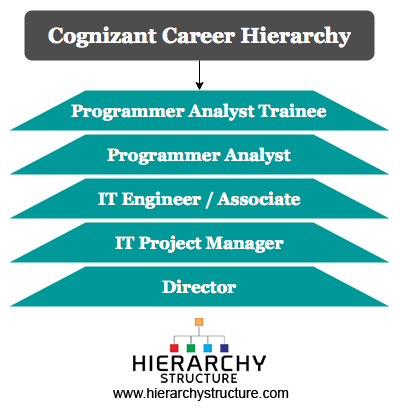 hierarchy cognizant career analyst chart trainee hierarchystructure programmer