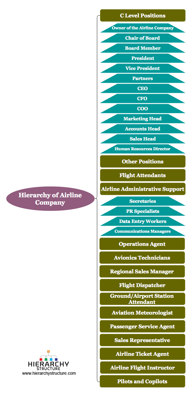 Hierarchy of Airline Company Structure | Hierarchy Structure