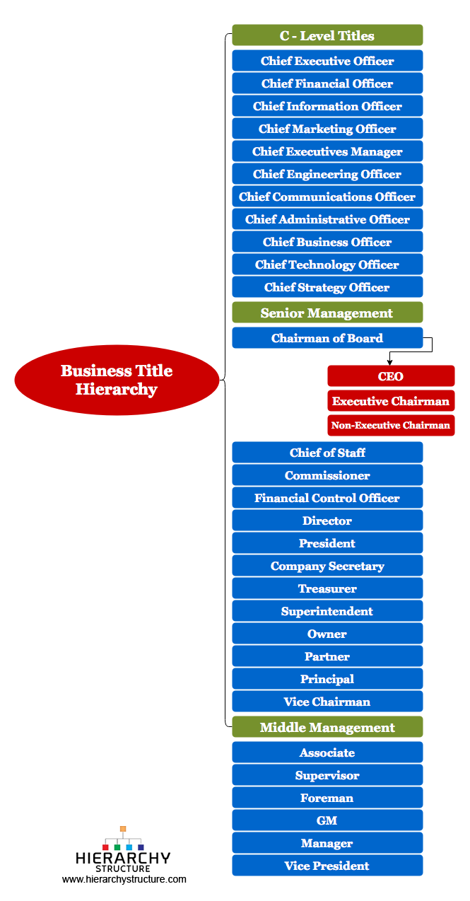 C Level Organization Chart