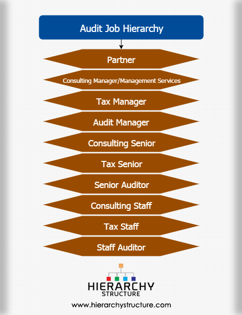 Chart Auditor Job Description