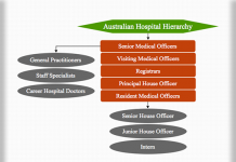 hierarchy hospital australian physician medical australia nurse structure chart hierarchystructure management smos officers senior