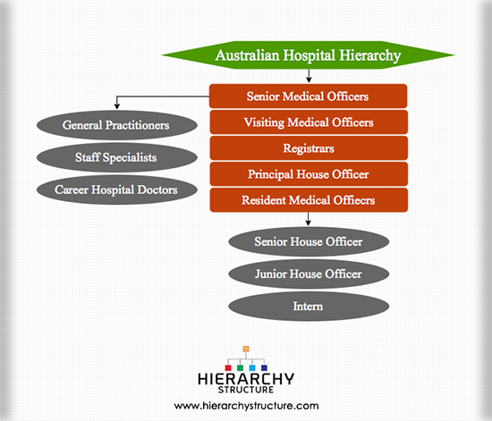 Nursing Hierarchy Chart