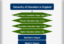 Education Degree Chart