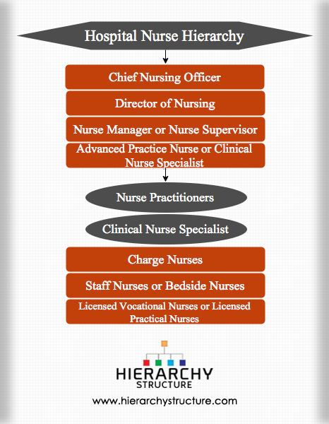 australian nursing midwifery federation