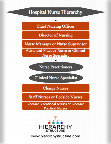 Nursing Hierarchy Chart