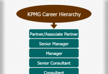 Kpmg Organizational Structure Chart