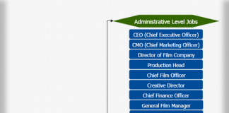 Film Production Organisational Chart