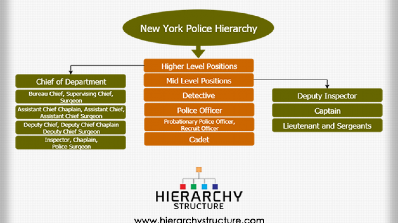 Law Enforcement Hierarchy Chart