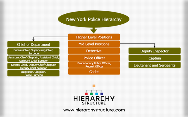 Nypd Chain Of Command Chart