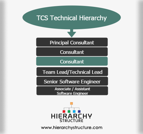 TCS Technical Hierarchy