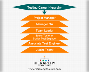 Accounting Career Progression Chart