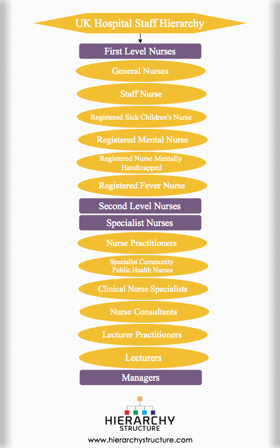 Nursing Hierarchy Chart