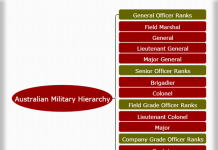 Roman Army Organization Chart