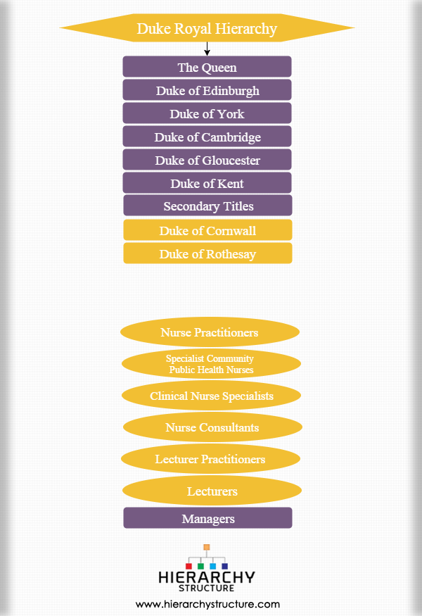 My Duke Chart Com