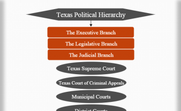 Texas Court System Flow Chart