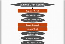 new york court system structure chart