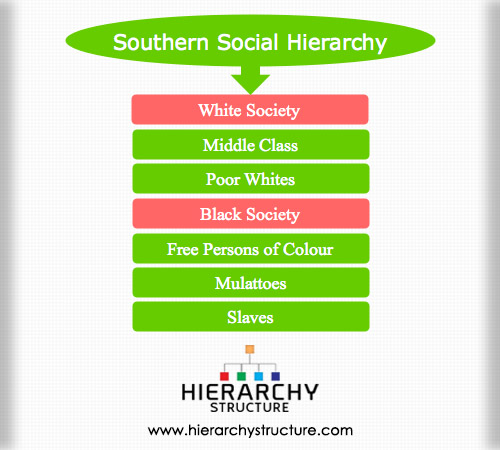 Plantation Hierarchy Chart