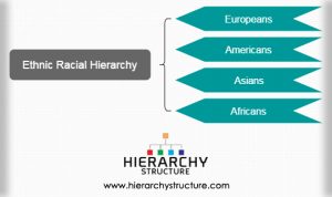 Plantation Hierarchy Chart