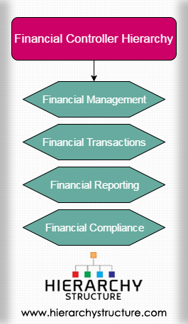 Financial Controller Organizational Chart