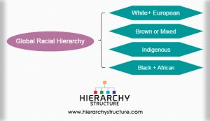 Plantation Hierarchy Chart