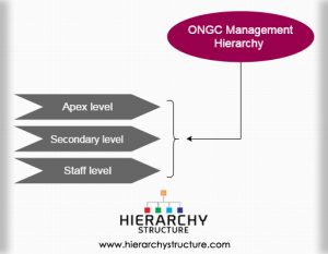 Organizational Chart Of A Resort And Their Duties And Responsibilities