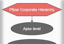 hierarchy