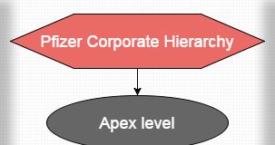 pfizer organizational structure