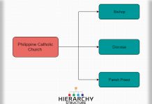 The Hierarchy Of The Catholic Church Chart