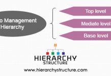 Dell Hierarchy Chart