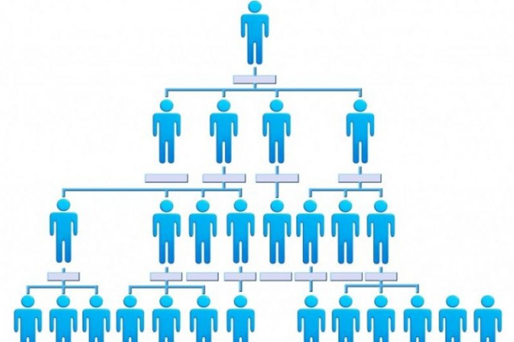 Startup Organizational Structure: Which is Better? Horizontal? Or Hierarchical? 