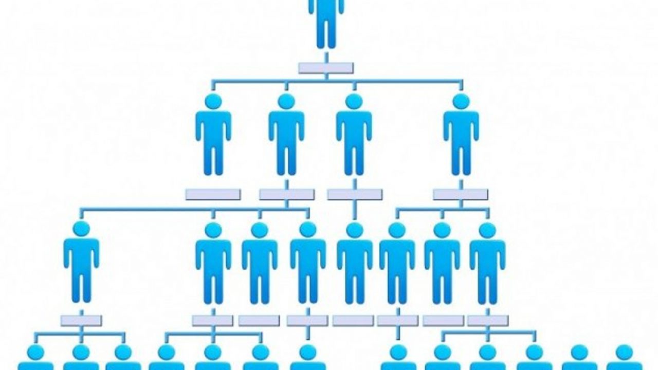 Flat Or Horizontal Organizational Chart