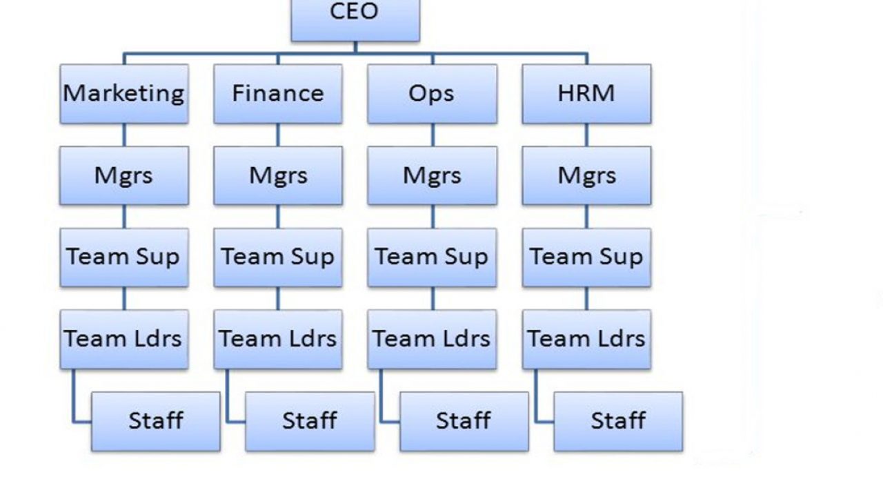 Loreal Organization Chart