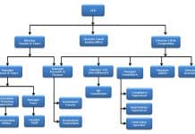 Draft Organization Structure Chart Of Bpo Industry