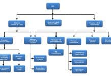 Organization Structure Chart Of Bpo Industry