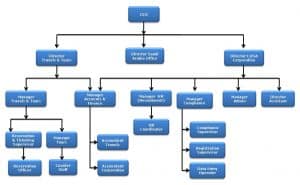 Bda Organisation Chart